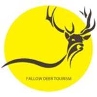 پیج اینستاگرام Fallow Deer Tourism