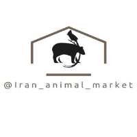 کانال تلگرام بازار حیوانات ایران