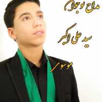 کانال تلگرام مداح نوجوان سید علی اکبر موسوی