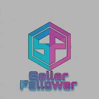 کانال تلگرام Seller Fallower