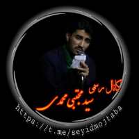 کانال رسمی سید مجتبی محمدی