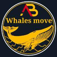 کانال تلگرام Whales move حرکات نهنگ ها