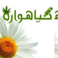 روغن و دمنوش گیاهواره