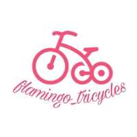 پیج اینستاگرام دوچرخه و سه چرخه فلامینگو