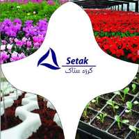 پیج اینستاگرام Setak Agricultural Group