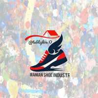 کانال تلگرام صنعت کفش ایران