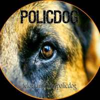 کانال تلگرام آموزش سگ های پلیس و گارد