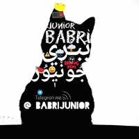 کانال تلگرام ببری‌خان دوم Babri Junior