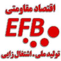 کانال تلگرام کسب درآمد بالا با EFB