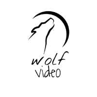 کانال تلگرام Wolf video