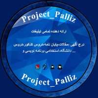 کانال تبلیغات project_paliz