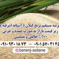کانال تلگرام برنج آستانه