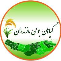 کانال تلگرام گیاهان بومی مازندران