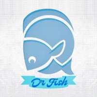 کانال تلگرام Dr fish trade