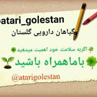 کانال تلگرام گیاهان دارویی گلستان