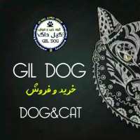 کانال تلگرام GIL DOG Channel