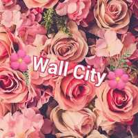 کانال تلگرام Wall City