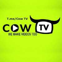 کانال تلگرام Cow TV