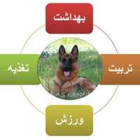 کانال تلگرام خرید و فروش سگ