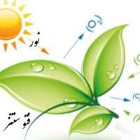 کانال تلگرام آموزشی رشد گیاهان با نور جایگزین خورشید