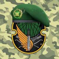 کانال تلگرام تیپ ۶۵ نیروهای ویژه راهبردی نوهد کلاه سبزها
