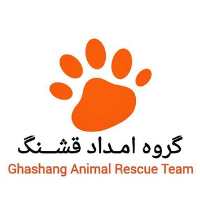 کانال تلگرام امداد حیوانات قشــــنگ