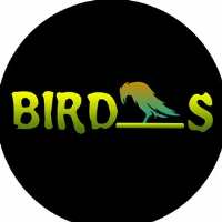 Bird s@ 🐦 کانال جذاب و تخصصی پرندگان 🐥