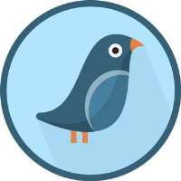 گروه تلگرام دنیای پرندگان