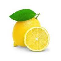 گروه تلگرام gp chat lemon