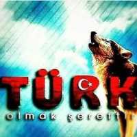 گروه تلگرام Turk Eli