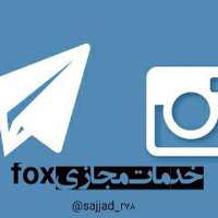گروه تلگرام خدمات مجازی fox