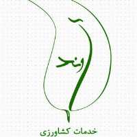 گروه تلگرام آوند پسته خربزه و زعفران مشهد