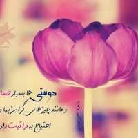 گروه تلگرام ღ ღدؤســــــــــتـــــــــیــــــــ هــــــــاღ ღ